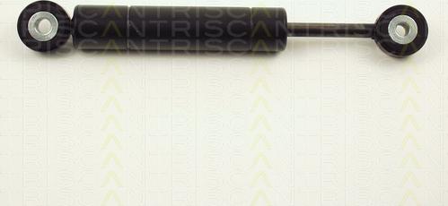 Triscan 8710 2313 - Prigušivač vibracija, klinasti rebrasti remen  www.molydon.hr
