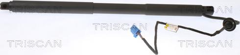 Triscan 8710 23304 - Plinski amortizer, prtljaznik/utovarni prostor www.molydon.hr