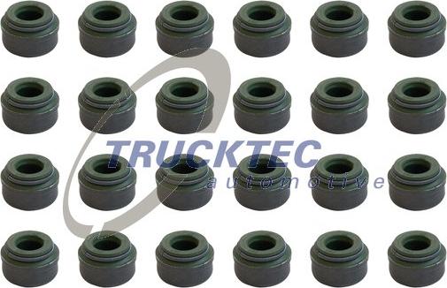 TRUCKTEC 02.43.166 - Garnitura brtvi, tijelo ventila www.molydon.hr