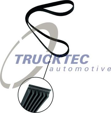 TRUCKTEC 02.19.336 - Klinasti rebrasti remen  www.molydon.hr