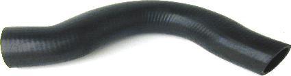ÜRO Parts 1245019382 - Crijevo hladnjaka www.molydon.hr