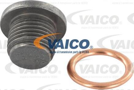VAICO V46-0422 - Čep kartera www.molydon.hr