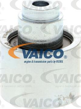 VAICO V10-4617 - Vodeći valjak , zupčasti remen  www.molydon.hr