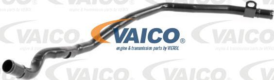 VAICO V10-5990 - Crijevo rashladne tekućinu www.molydon.hr