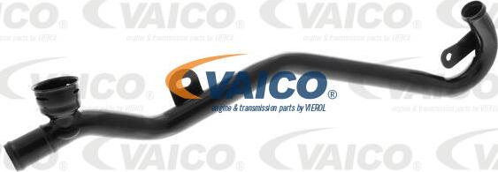 VAICO V10-5952 - Crijevo rashladne tekućinu www.molydon.hr
