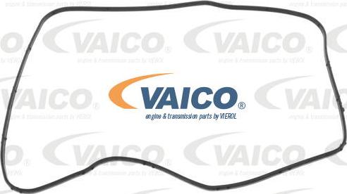 VAICO V10-6967 - Brtva, automatski mjenjač www.molydon.hr