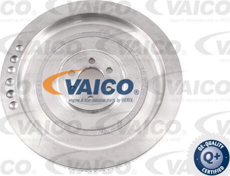 VAICO V10-6532 - Zamašnjak www.molydon.hr