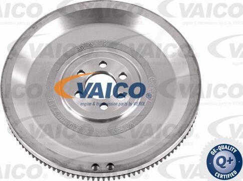 VAICO V10-6537 - zamašnjak www.molydon.hr