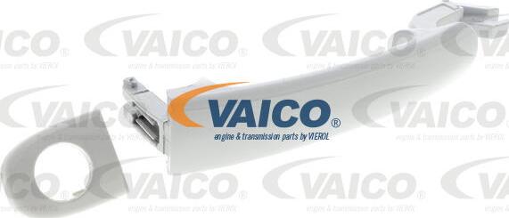 VAICO V10-6161 - Ručica na vratima www.molydon.hr