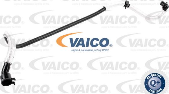 VAICO V10-3636 - Crijevo vakuuma, kočioni sistem www.molydon.hr