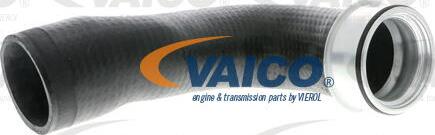 VAICO V10-2852 - Crijevo interkulera www.molydon.hr