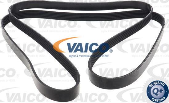 VAICO V10-7957 - Klinasti rebrasti remen  www.molydon.hr