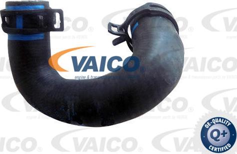 VAICO V30-4012 - Crijevo hladnjaka www.molydon.hr