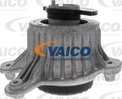 VAICO V30-4017 - Nosač motora www.molydon.hr