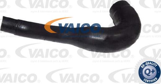 VAICO V30-4260 - Crijevo hladnjaka www.molydon.hr