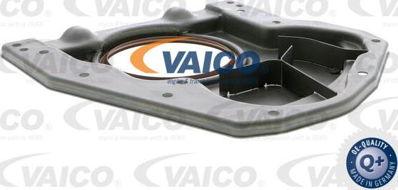 VAICO V30-6146 - Radijalni Brtveni prsten (semering), radilica www.molydon.hr