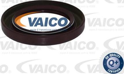 VAICO V30-6140 - Radijalni Brtveni prsten (semering), radilica www.molydon.hr