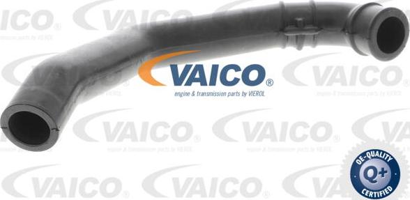 VAICO V30-0915 - Crijevo, odusak bloka motora www.molydon.hr