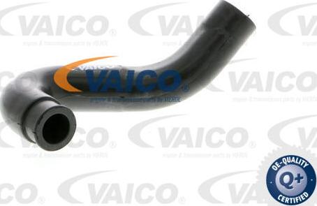 VAICO V30-0910 - Crijevo, odusak bloka motora www.molydon.hr