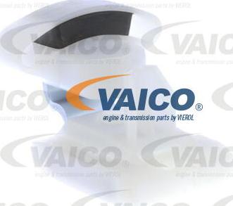 VAICO V30-0977 - Klizna obloga, podizačprozorskog stakla www.molydon.hr