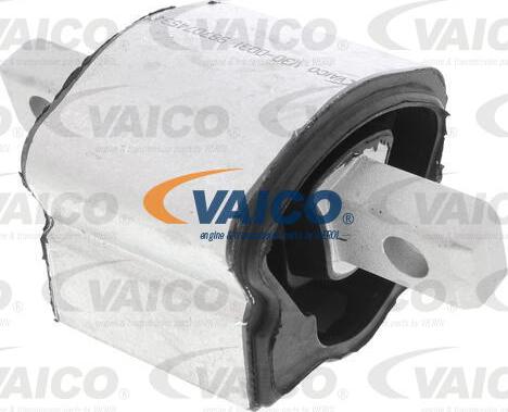 VAICO V30-0031 - Ležište | Držač | Uležištenje, automatski mjenjač www.molydon.hr