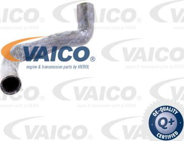 VAICO V30-0146 - Crijevo hladnjaka www.molydon.hr