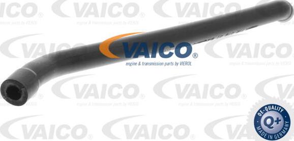 VAICO V30-0862 - Crijevo, odusak bloka motora www.molydon.hr