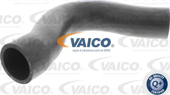 VAICO V30-0220 - Crijevo hladnjaka www.molydon.hr