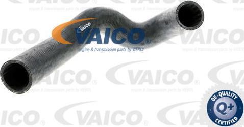 VAICO V30-0228 - Crijevo hladnjaka www.molydon.hr