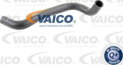 VAICO V30-0222 - Crijevo hladnjaka www.molydon.hr