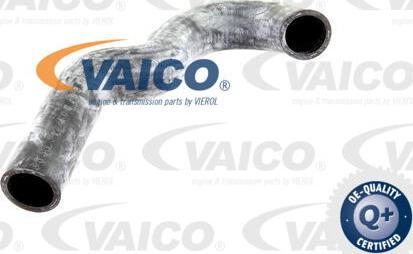 VAICO V30-0227 - Crijevo hladnjaka www.molydon.hr