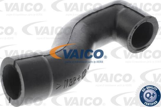 VAICO V30-0799 - Crijevo, odusak bloka motora www.molydon.hr