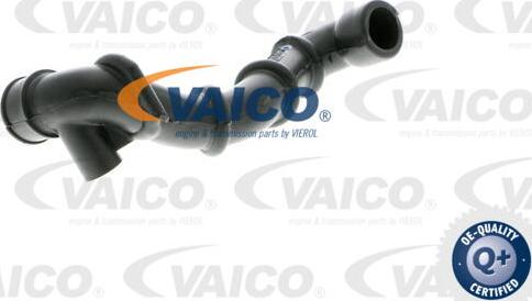 VAICO V30-0795 - Crijevo, odusak bloka motora www.molydon.hr