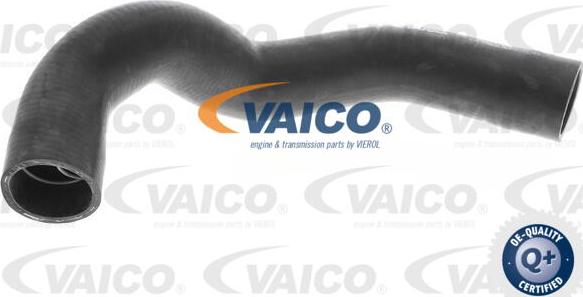 VAICO V30-0709 - Crijevo hladnjaka www.molydon.hr
