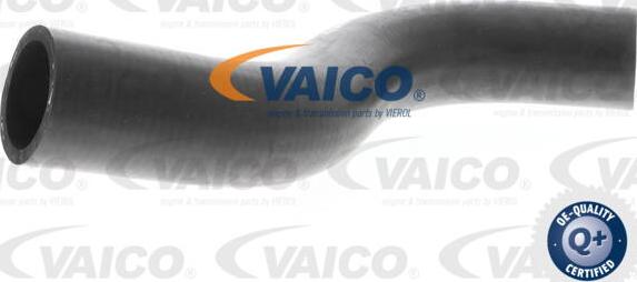 VAICO V30-0701 - Crijevo hladnjaka www.molydon.hr