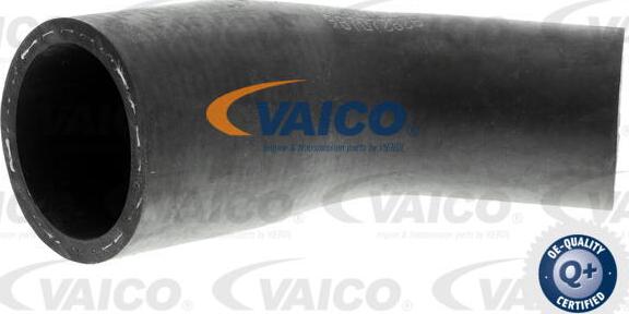 VAICO V30-0702 - Crijevo hladnjaka www.molydon.hr