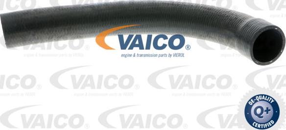 VAICO V30-0710 - Crijevo hladnjaka www.molydon.hr