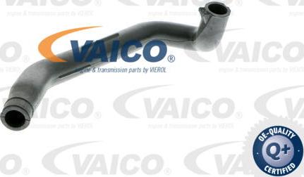 VAICO V30-0788 - Crijevo, sistem za doVod zraka www.molydon.hr