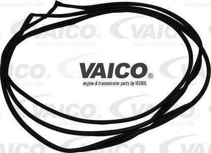 VAICO V30-1978 - Brtva, prednji vjetrobran www.molydon.hr