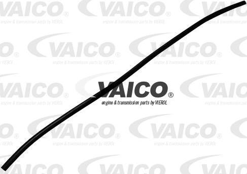 VAICO V30-1977 - Brtva, prednji vjetrobran www.molydon.hr