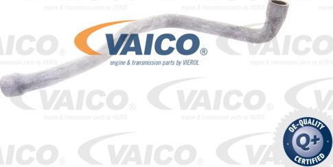 VAICO V30-1579 - Crijevo hladnjaka www.molydon.hr