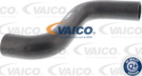 VAICO V30-1574 - Crijevo hladnjaka www.molydon.hr