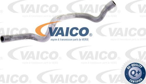 VAICO V30-1577 - Crijevo hladnjaka www.molydon.hr
