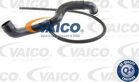 VAICO V30-1654 - Crijevo hladnjaka www.molydon.hr