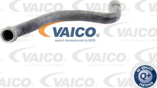 VAICO V30-1655 - Crijevo hladnjaka www.molydon.hr