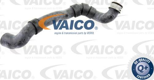 VAICO V30-1658 - Crijevo hladnjaka www.molydon.hr