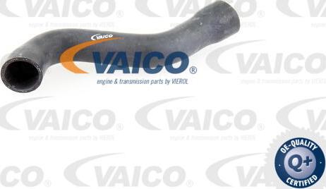 VAICO V30-1624 - Crijevo hladnjaka www.molydon.hr