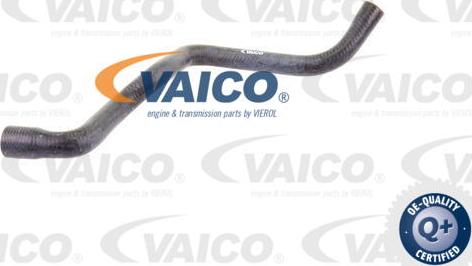 VAICO V30-1625 - Crijevo hladnjaka www.molydon.hr