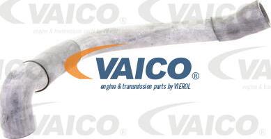VAICO V30-1621 - Crijevo hladnjaka www.molydon.hr