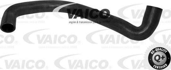 VAICO V30-1623 - Crijevo hladnjaka www.molydon.hr